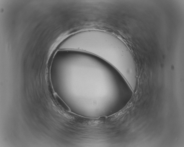 X0000064740152200602100942