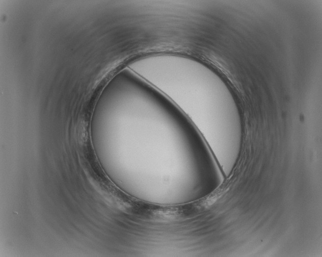 X0000064740164200602100942