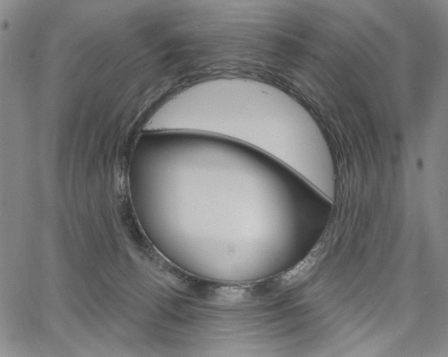 X0000064740176200602100942
