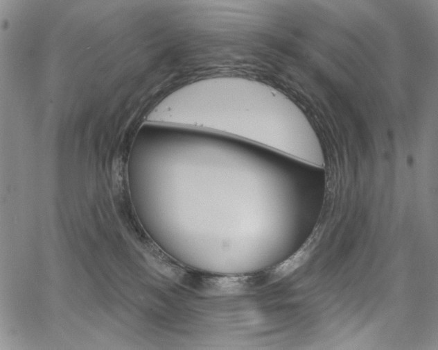 X0000064740184200602100942