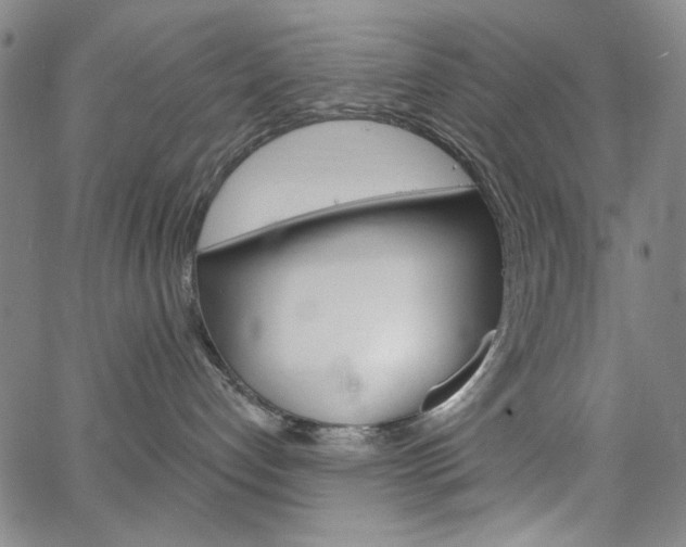 X0000064740192200602100942