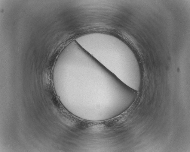 X0000064740210200602100941