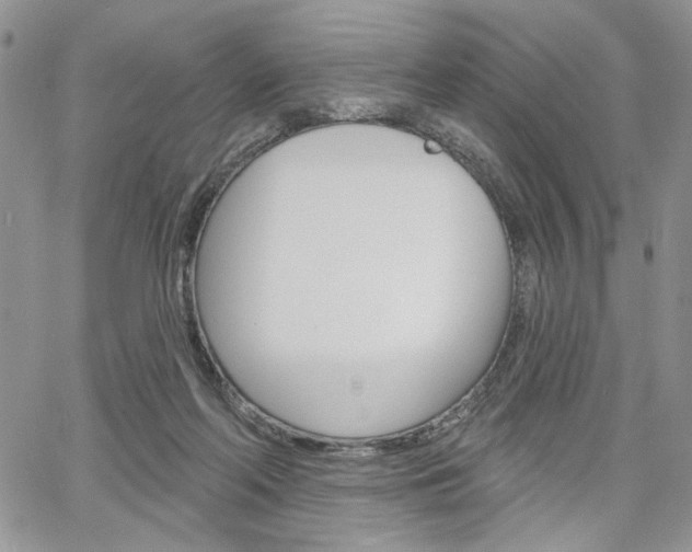 X0000064740214200602100941