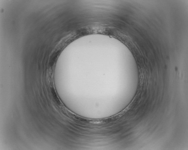X0000064740218200602100941
