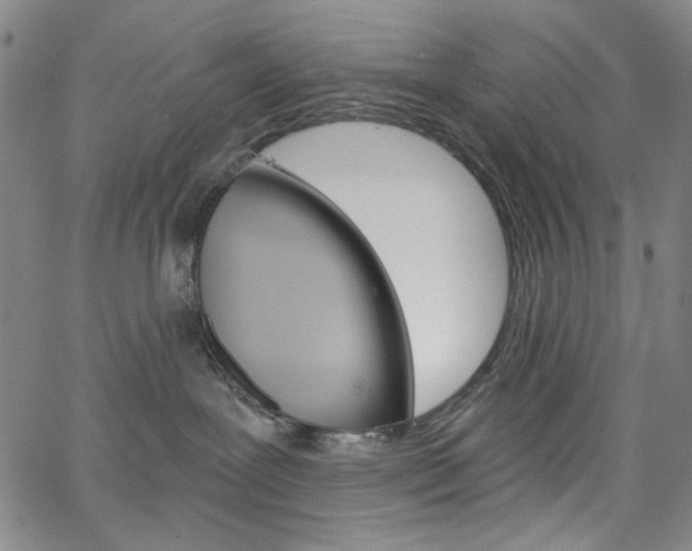 X0000064740239200602100941