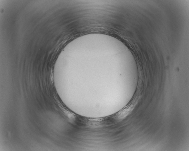 X0000064740240200602100941