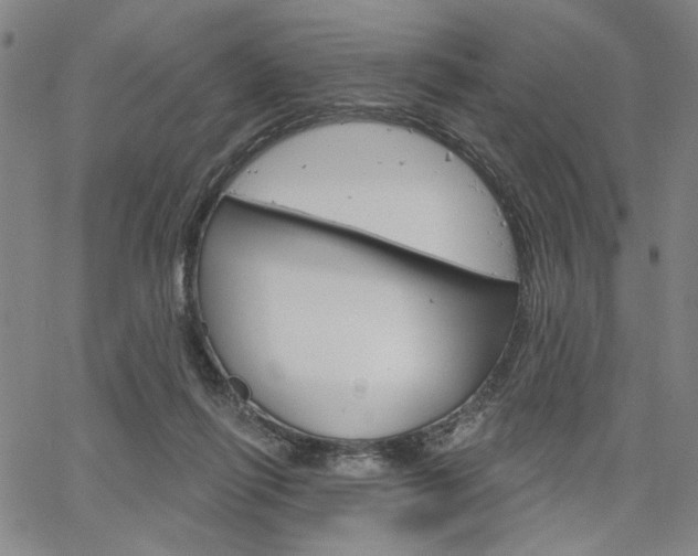 X0000064740262200602100940