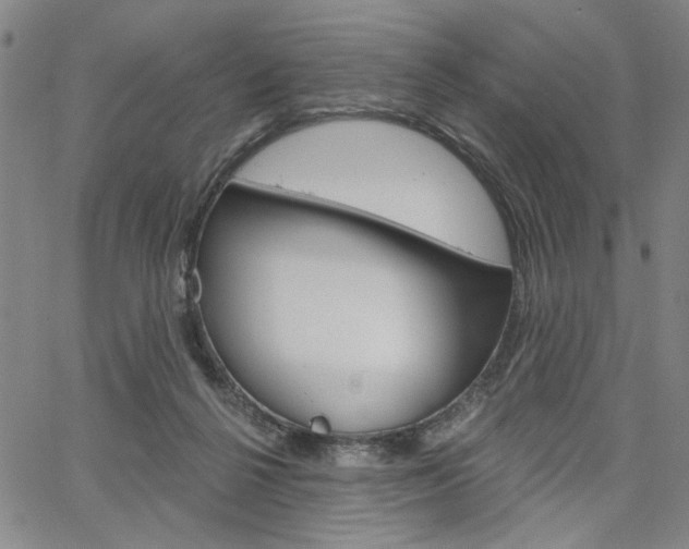 X0000064740264200602100940