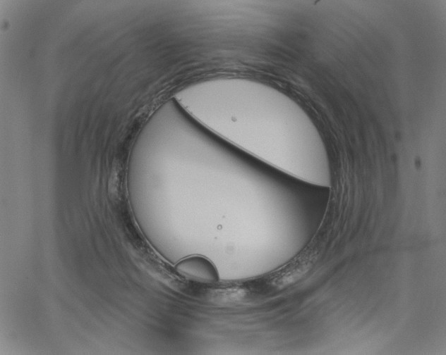 X0000064740266200602100940