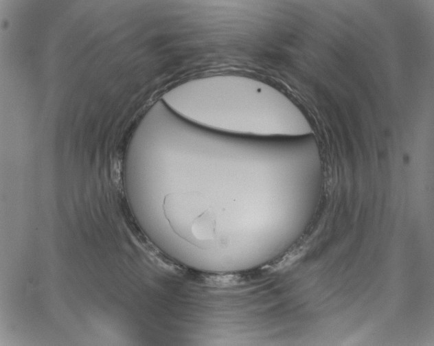 X0000064740281200602100941