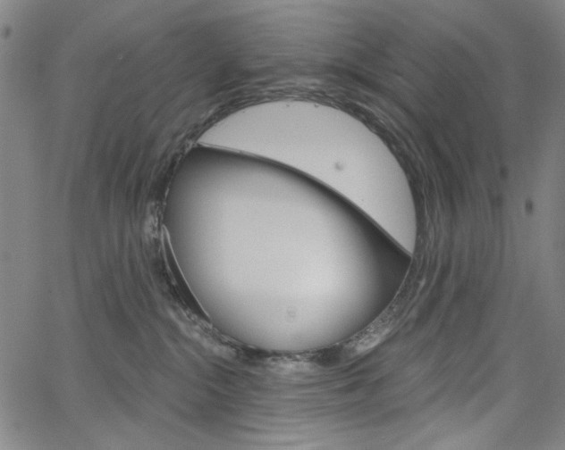 X0000064740284200602100941