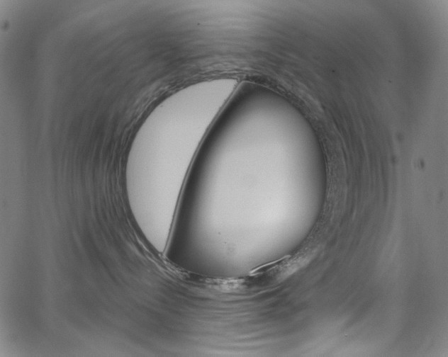 X0000064740288200602100941