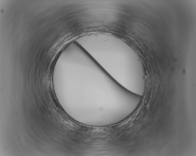 X0000064740290200602100940