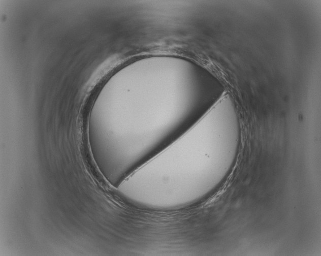 X0000064740295200602100940