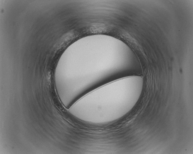 X0000064740308200602100940