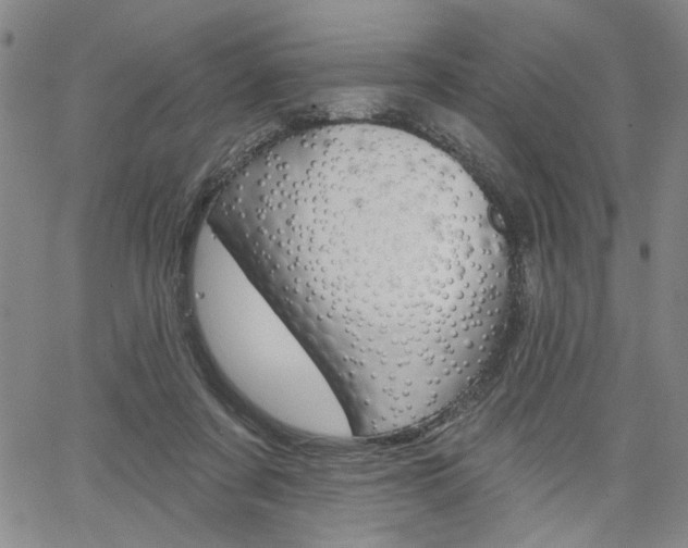 X0000064740311200602100940