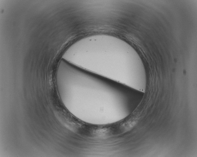 X0000064740312200602100940