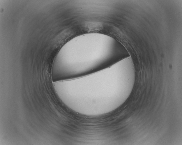 X0000064740316200602100940