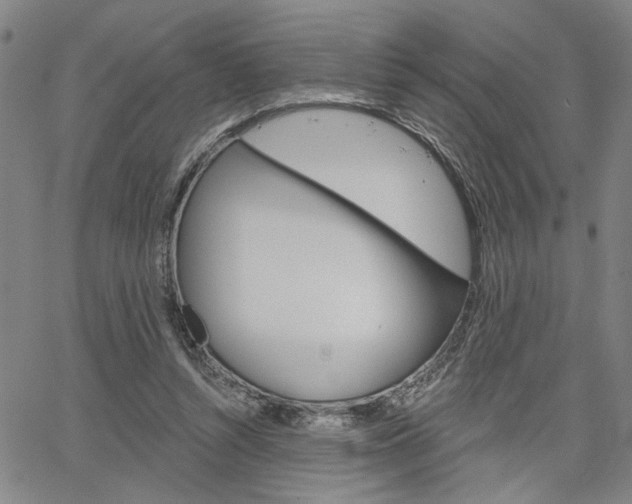 X0000064740352200602100939