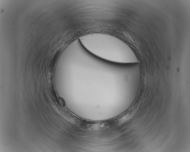 X0000064740366200602100939