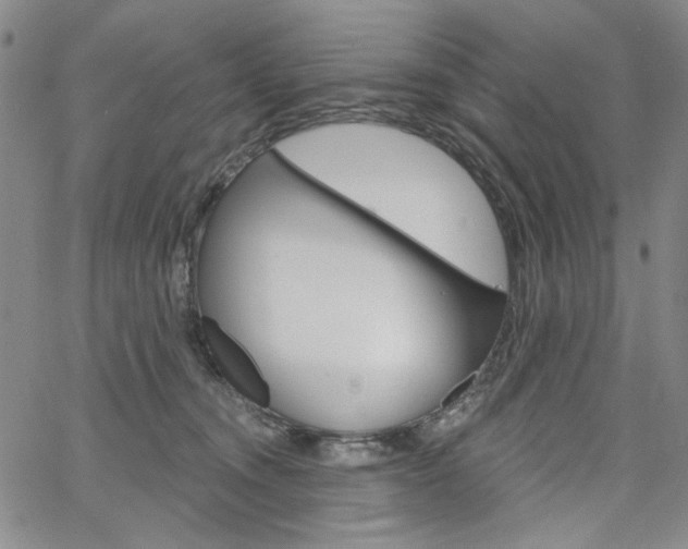 X0000064740372200602100939