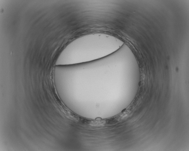X0000064740373200602100939