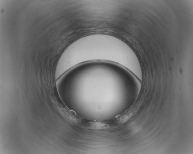 X0000064740380200602100939