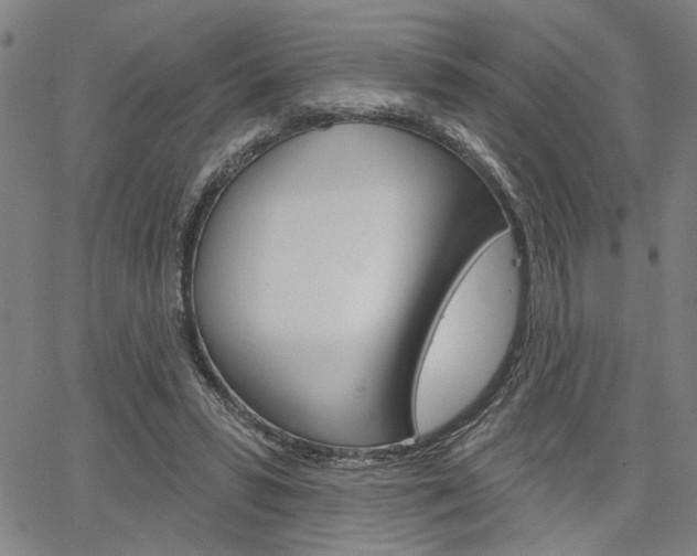 X0000064740399200602100938