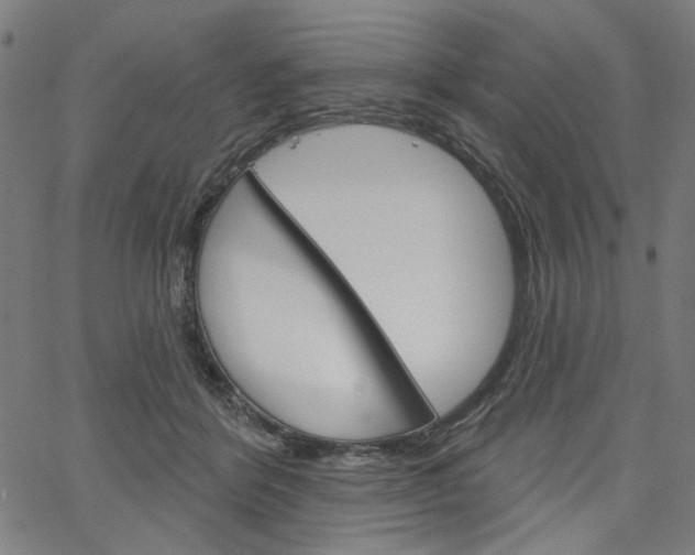 X0000064740412200602100938