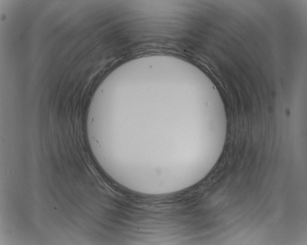 X0000064740423200602100938
