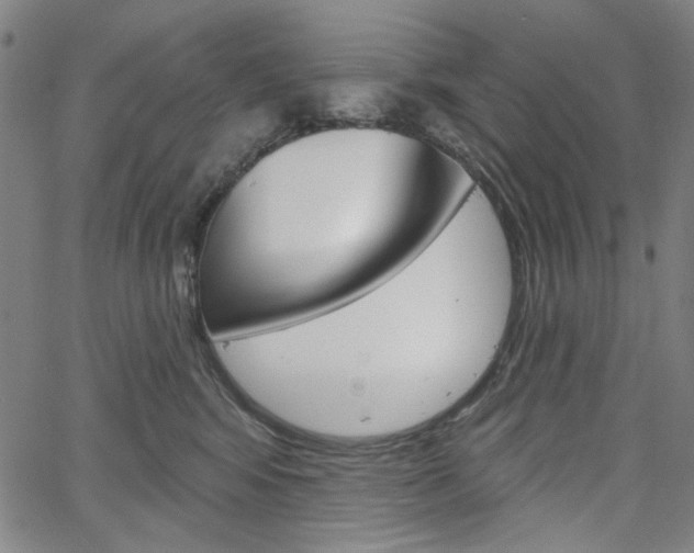 X0000064740424200602100938
