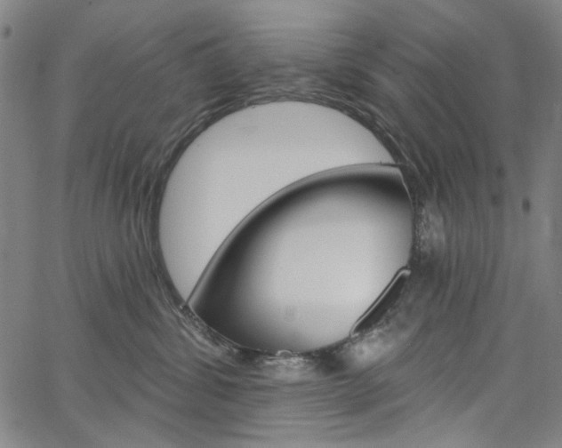 X0000064740428200602100938