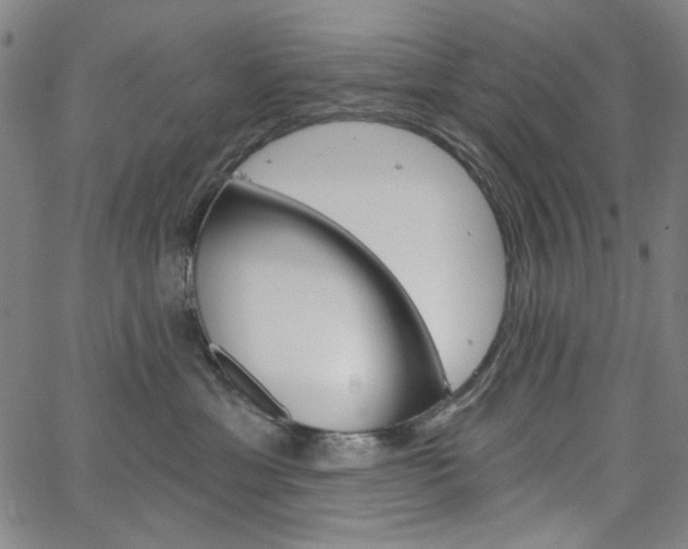 X0000064740429200602100938