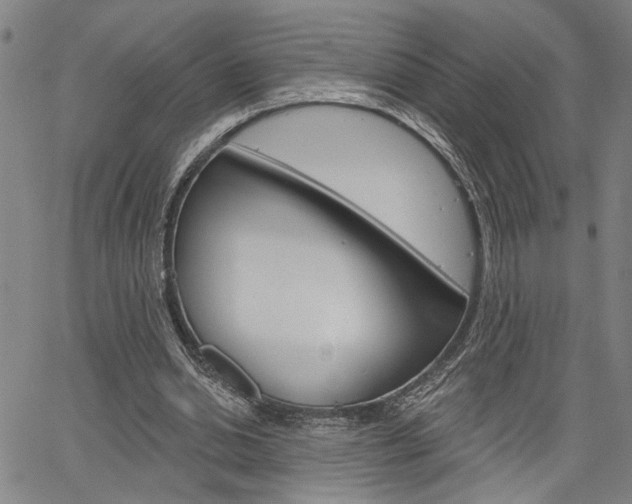 X0000064740438200602100937