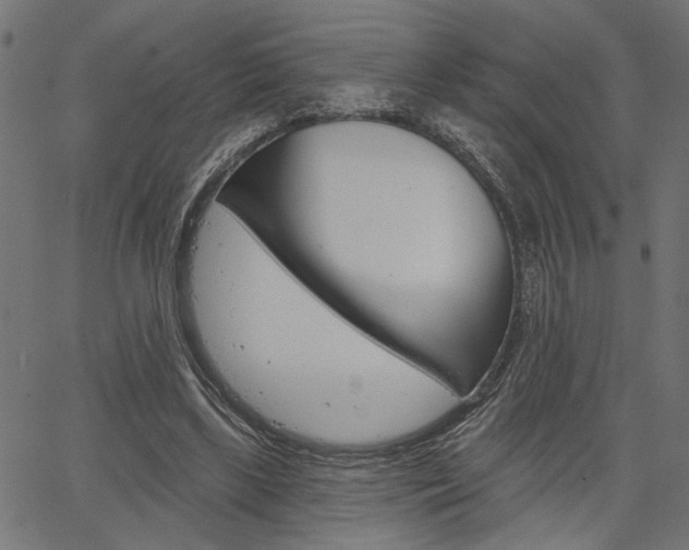 X0000064740443200602100937