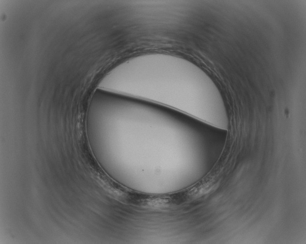 X0000064740462200602100937