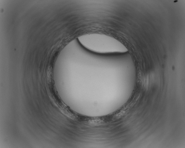 X0000064740468200602100938