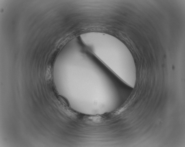X0000064740478200602100938