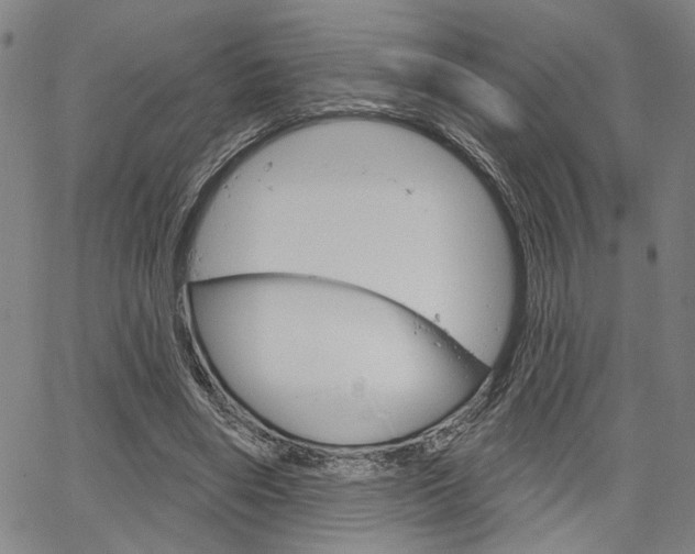 X0000064740490200602100937