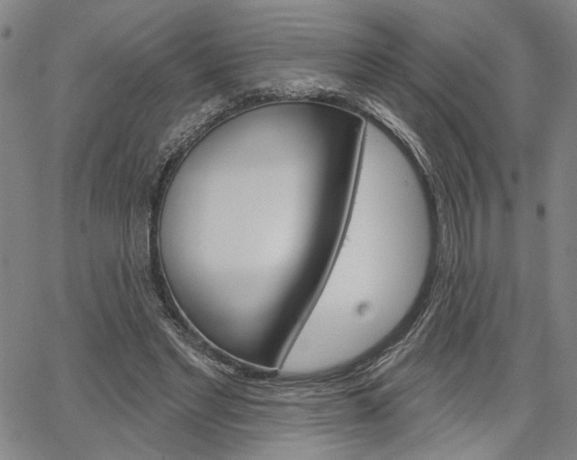 X0000064740493200602100937