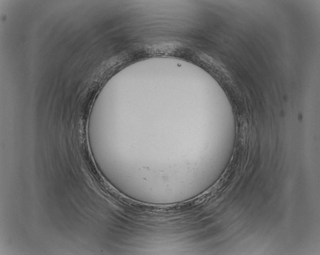 X0000064740498200602100937
