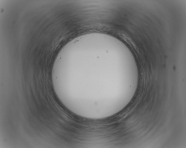 X0000064740509200602100936