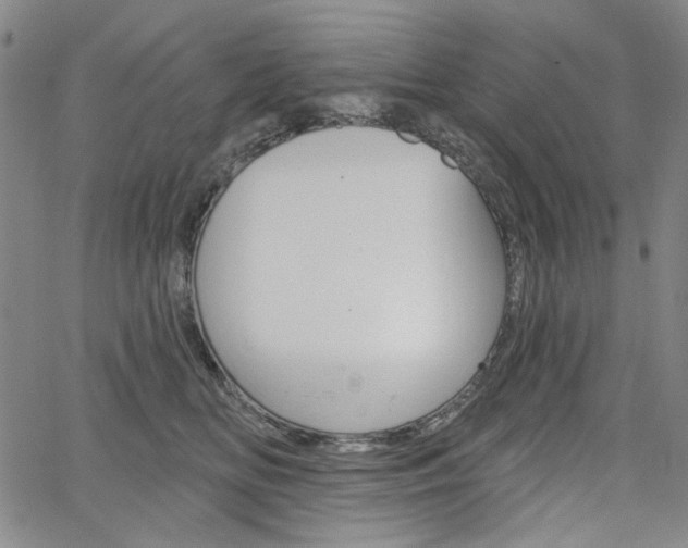 X0000064740518200602100936