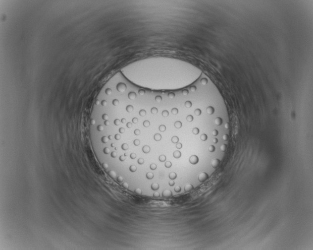 X0000064740519200602100936