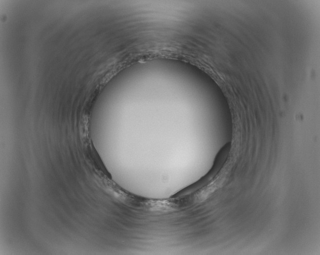 X0000064740528200602100936