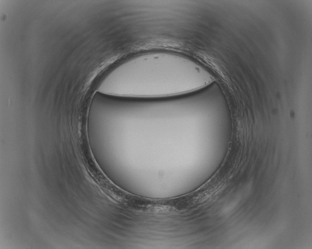 X0000064740539200602100936