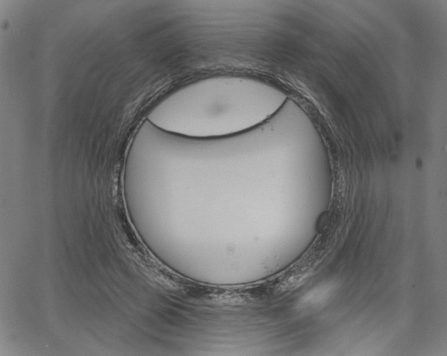 X0000064740545200602100936