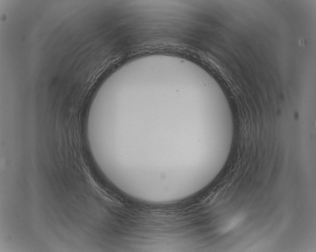 X0000064740546200602100936