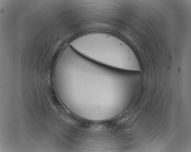 X0000064740547200602100936