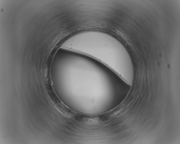 X0000064740548200602100936